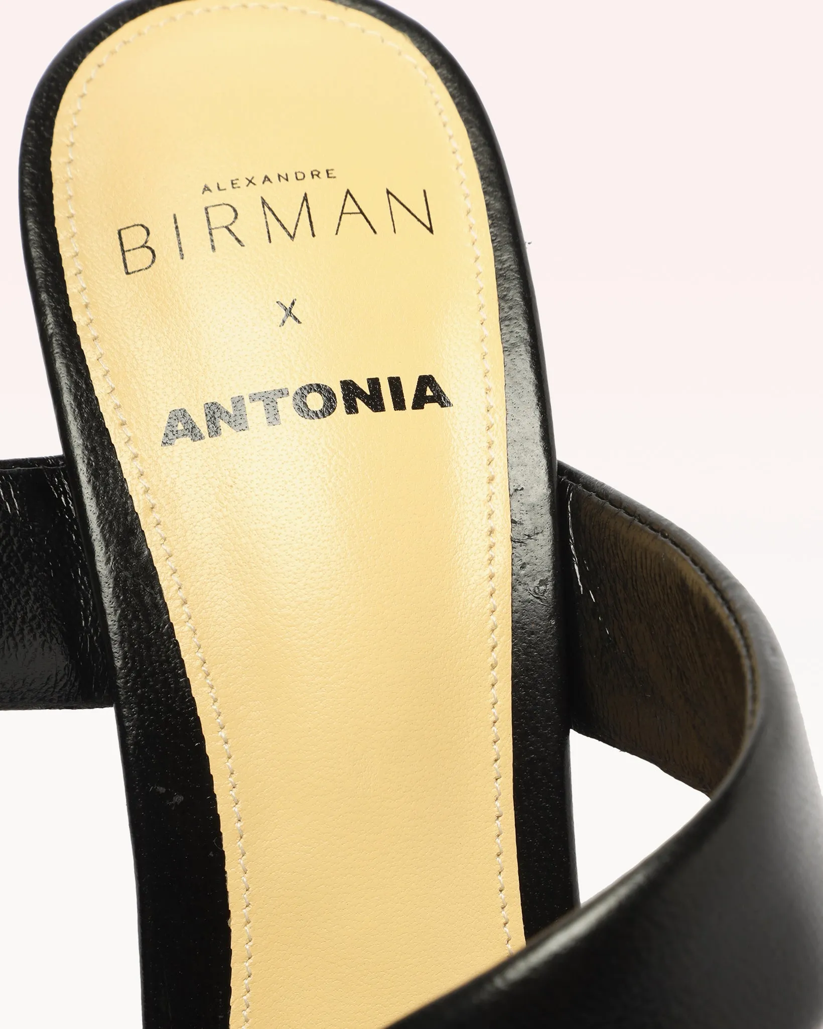 Antonia Black