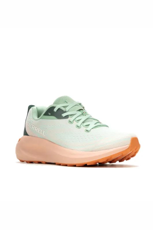 Morphilite Trainer