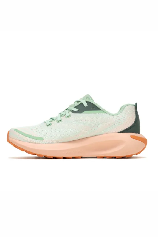 Morphilite Trainer