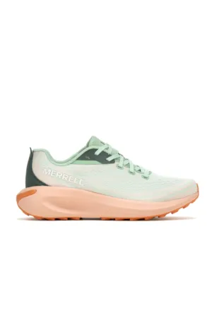 Morphilite Trainer
