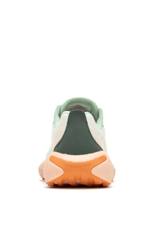 Morphilite Trainer