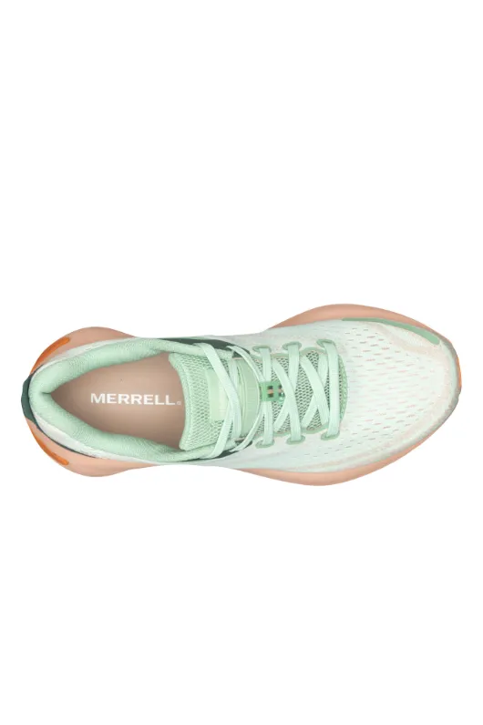 Morphilite Trainer